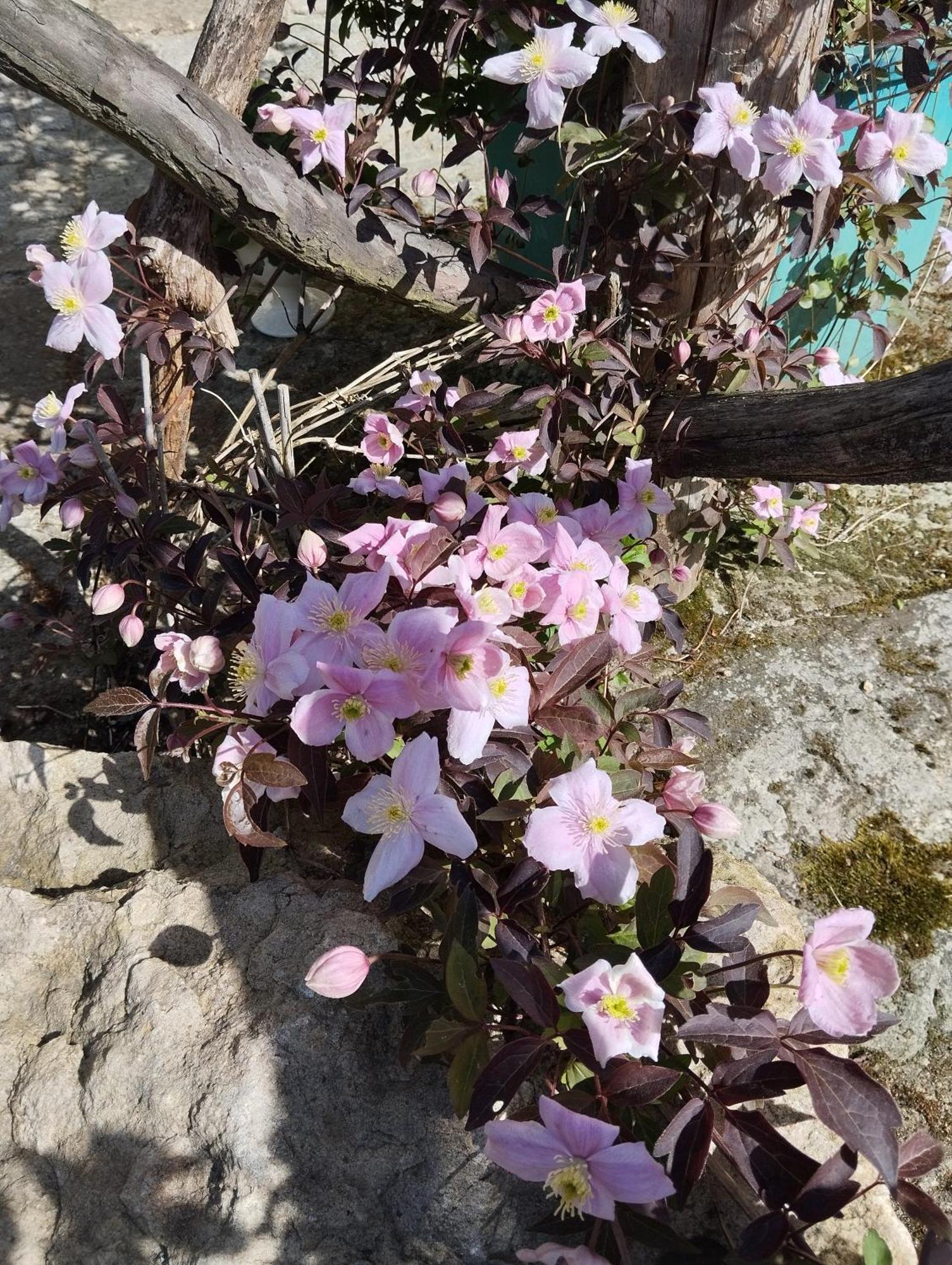 Forellenwasser Rosenthal-Bielatal Buitenkant foto